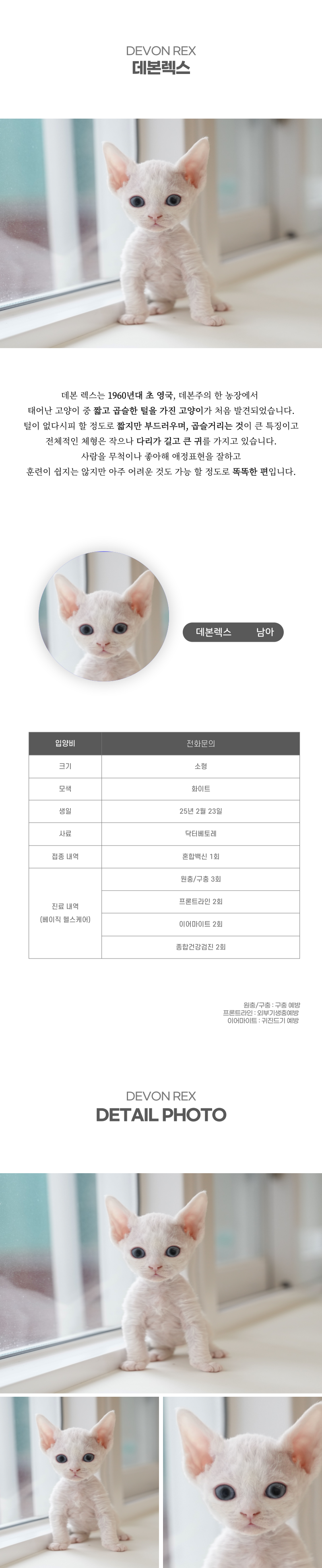 데본렉스_상세이미지_2