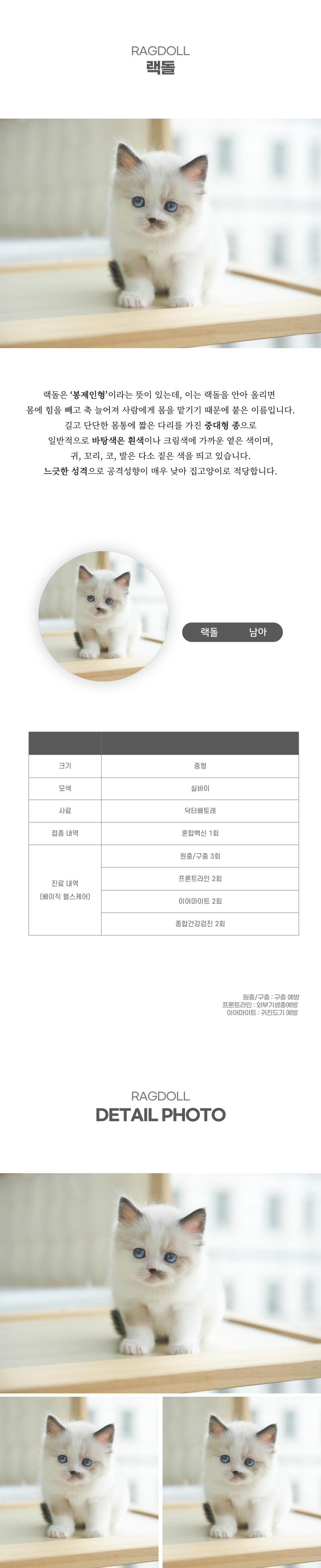 랙돌_상세이미지_2