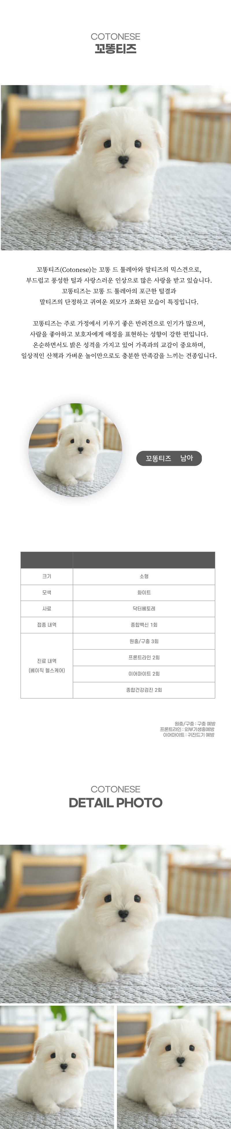 꼬똥티즈_상세이미지_2