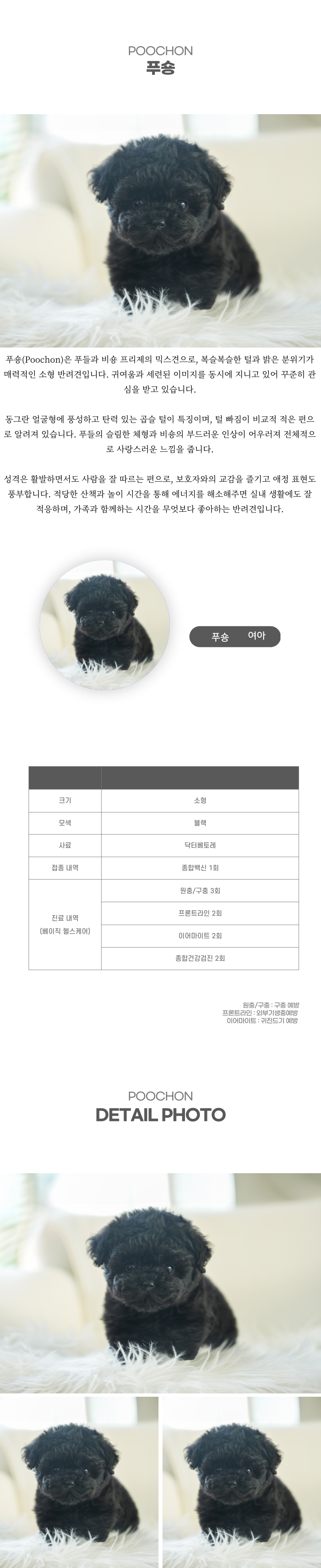 푸숑_상세이미지_2