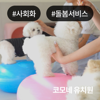 미유펫경기_회사소개_섹션_1_1