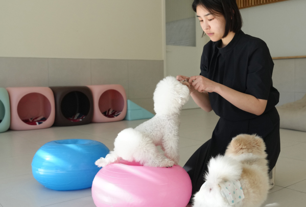 미유펫경기_유치원호텔_섹션1_2