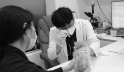 미유펫서울_메뉴_2_2_off
