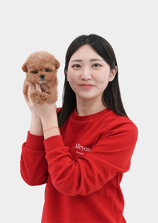 미유펫경기_펫플래너4