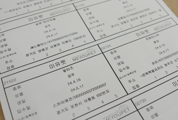 미유펫경기_분양정보_섹션2_3